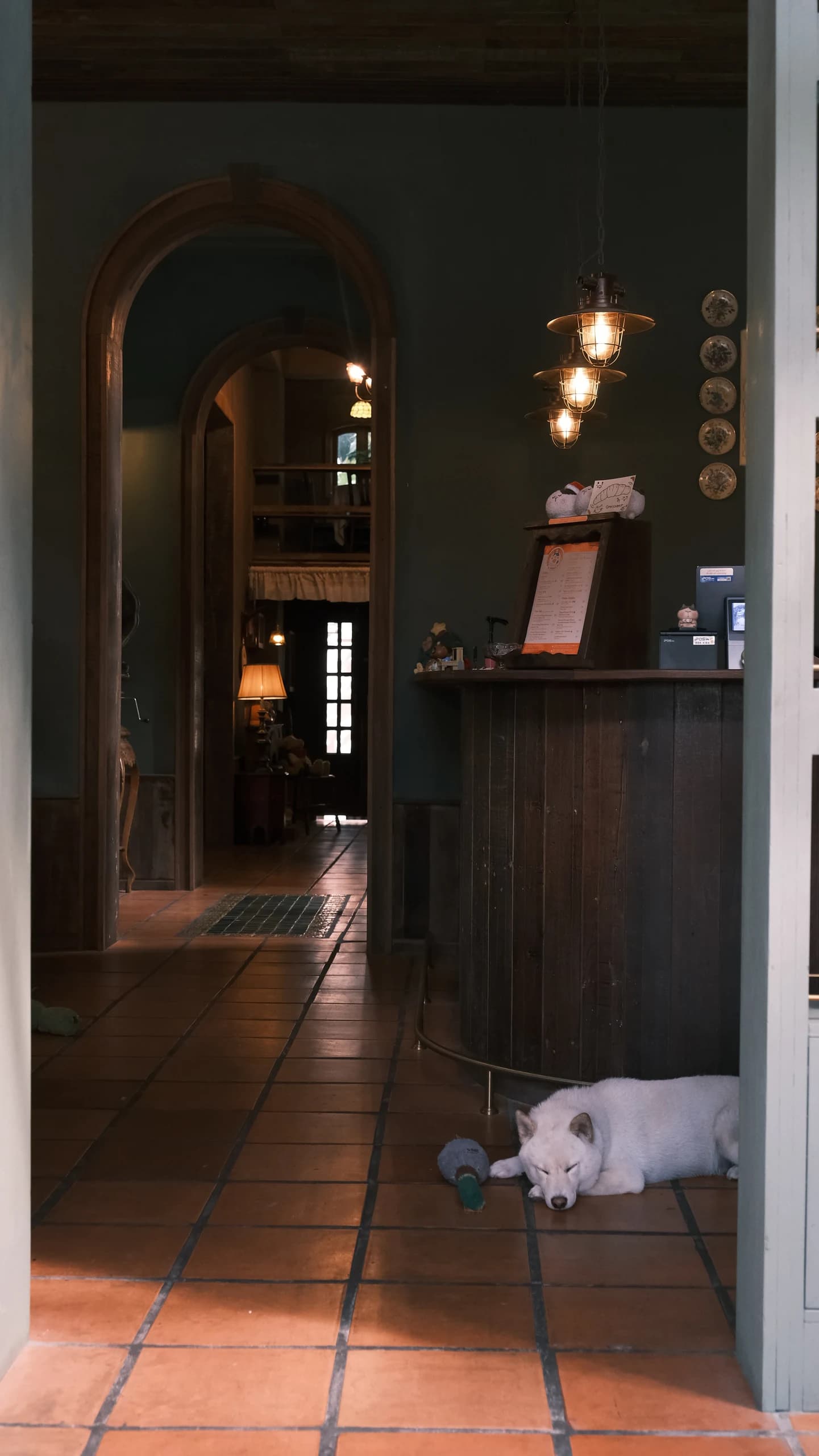 Sir Mit Coffee — photograph 2