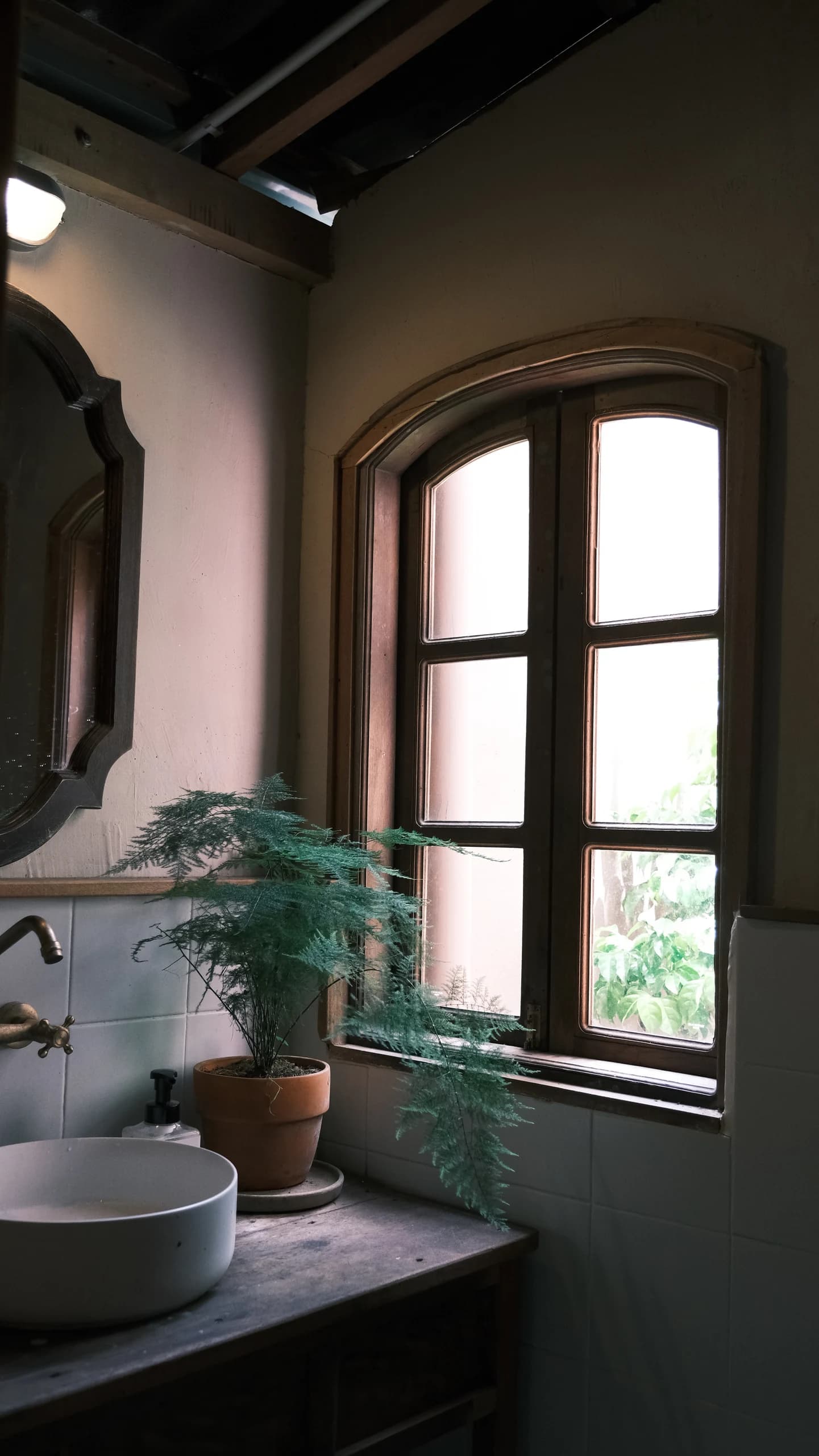 Sir Mit Coffee — photograph 12