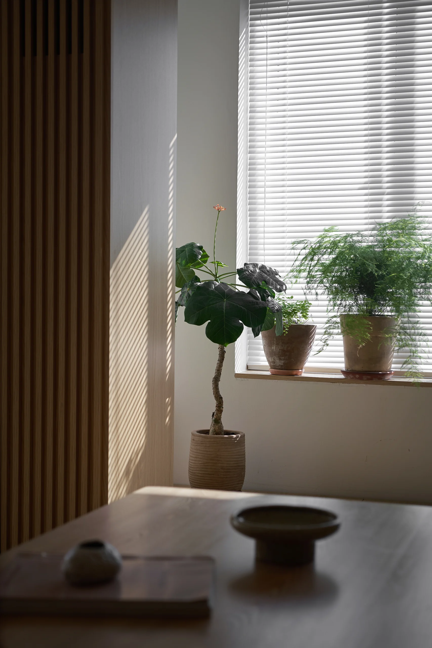 Tu Anh Apartment — photograph 27